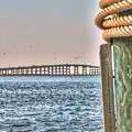 NC Art - North Carolina - Outer Banks OBX - Bonner Bridge - Oregon Inlet